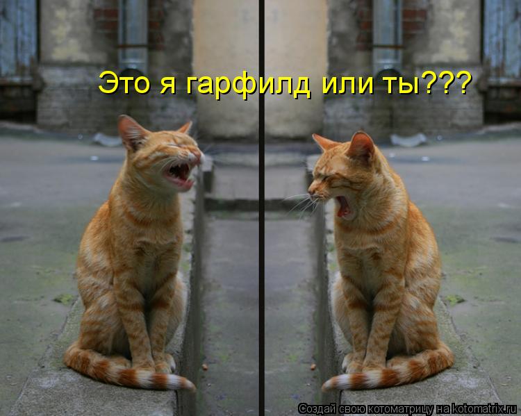 Это я гарфилд или ты???... Котоматрица: Это я гарфилд или ты???