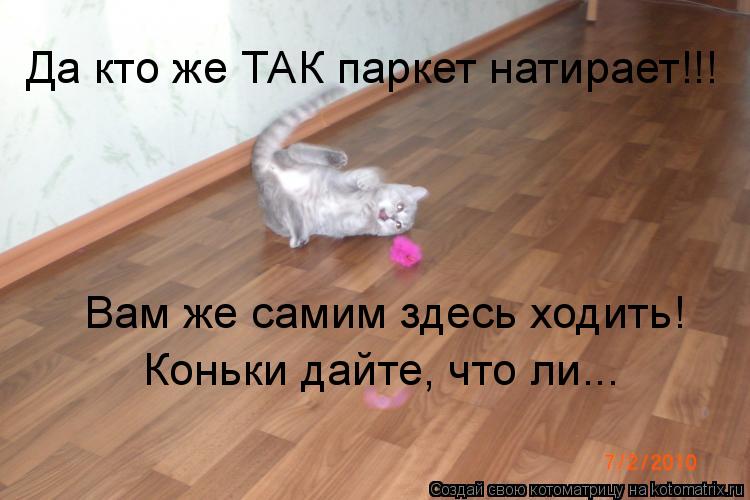 Да кто же ТАК паркет натирает!!! Вам же самим здесь ходить! Коньки дайте, что ли...... Котоматрица: Да кто же ТАК паркет натирает!!! Вам же самим здесь ходить! Коньки дайте, что ли...