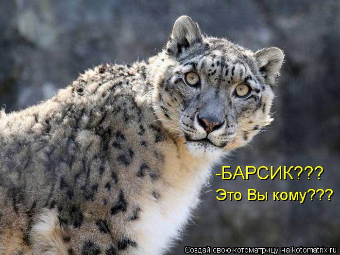 -БАРСИК??? Это Вы кому???... Котоматрица: -БАРСИК??? Это Вы кому???