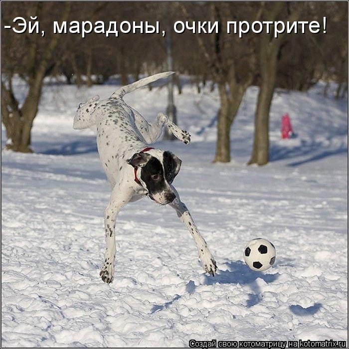 -Эй, марадоны, очки протрите!... Котоматрица: -Эй, марадоны, очки протрите!