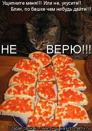 Ущипните меня!!! Или не, укусите!! Блин, по башке чем нибудь дайте!!! НЕ ВЕРЮ!!!... Котоматрица: Ущипните меня!!! Или не, укусите!! Блин, по башке чем нибудь дайте!!! НЕ ВЕРЮ!!!