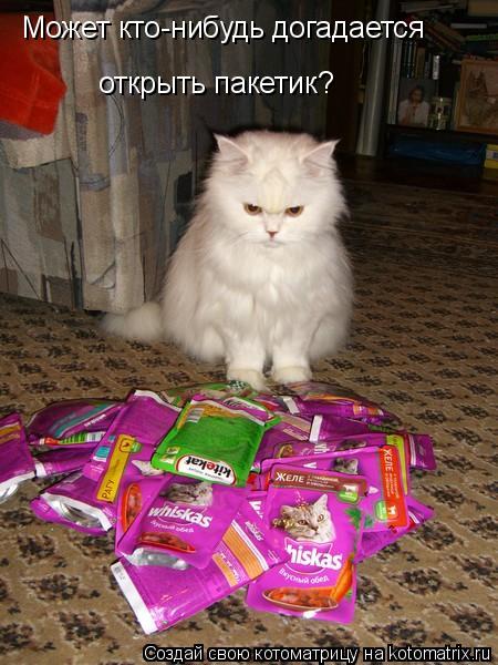 Может кто-нибудь догадается открыть пакетик?... Котоматрица: Может кто-нибудь догадается открыть пакетик?