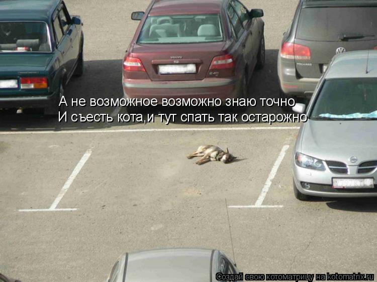 А не возможное возможно знаю точно И съесть кота,и тут спать так остарожно... Котоматрица: А не возможное возможно знаю точно И съесть кота,и тут спать так остарожно