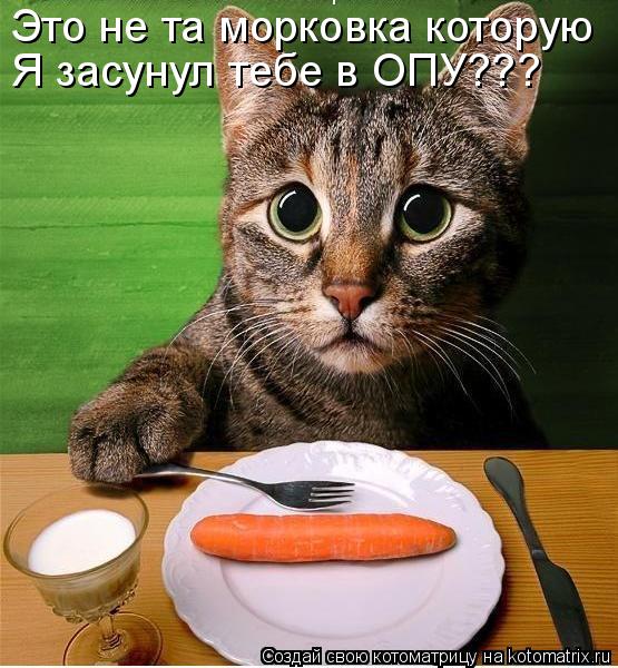 Это не та морковка которую Я засунул тебе в ОПУ???... Котоматрица: Это не та морковка которую Я засунул тебе в ОПУ???