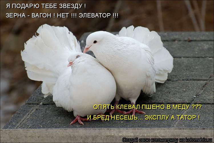 Я ПОДАРЮ ТЕБЕ ЗВЕЗДУ ! Я ПОДАРЮ ТЕБЕ ЗВЕЗДУ ! ЗЕРНА - ВАГОН ! НЕТ !!! ЭЛЕВАТОР !!! ОПЯТЬ КЛЕВАЛ ПШЕНО... Котоматрица: Я ПОДАРЮ ТЕБЕ ЗВЕЗДУ ! Я ПОДАРЮ ТЕБЕ ЗВЕЗДУ ! ЗЕРНА - ВАГОН ! НЕТ !!! ЭЛЕВАТОР !!! ОПЯТЬ КЛЕВАЛ ПШЕНО В МЕДУ ??? И БРЕД НЕСЕШЬ... ЭКСПЛУ А ТАТОР !