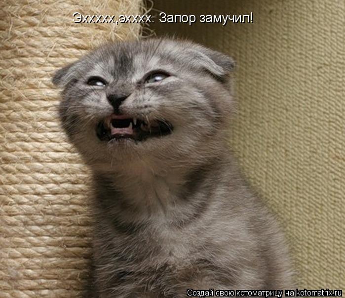Эххххх,эхххх. Запор замучил!... Котоматрица: Эххххх,эхххх. Запор замучил!