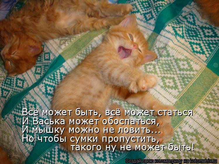 Котоматрица: Всё может быть, всё может статься И Васька может обоспаться, И мышку можно не ловить... Но чтобы сумки пропустить,  такого ну не может быть!