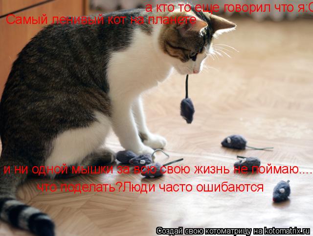 а кто то еще говорил что я:Самый ленивый кот на планете и ни одной мышки за всю свою жизнь не поймаю.... Котоматрица: а кто то еще говорил что я:Самый ленивый кот на планете и ни одной мышки за всю свою жизнь не поймаю....что поделать?Люди часто ошибаются Самы