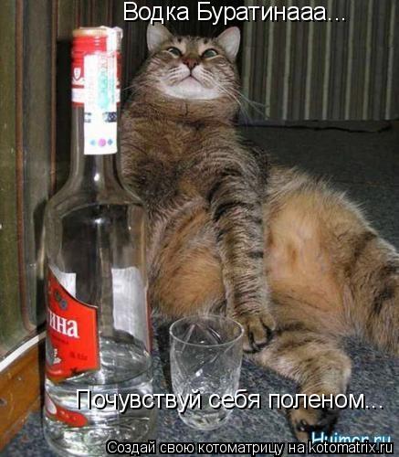Водка Буратинааа... Почувствуй себя поленом...... Котоматрица: Водка Буратинааа... Почувствуй себя поленом...