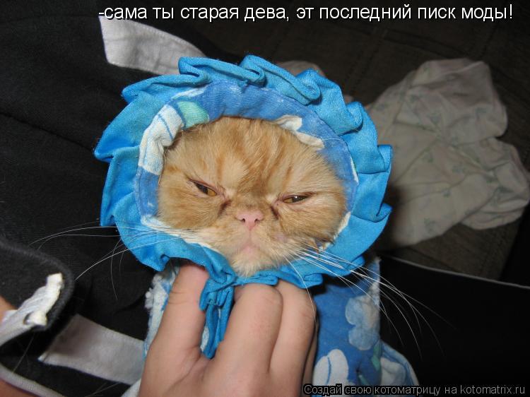 -сама ты старая дева, эт последний писк моды!... Котоматрица: -сама ты старая дева, эт последний писк моды!