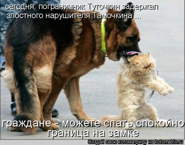 сегодня, пограничник Туточкин задержал злостного нарушителя Тамочкина ... граждане - можете спать спо... Котоматрица: сегодня, пограничник Туточкин задержал злостного нарушителя Тамочкина ... граждане - можете спать спокойно граница на замке