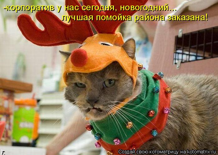 -корпоратив у нас сегодня, новогодний... лучшая помойка района заказана!... Котоматрица: -корпоратив у нас сегодня, новогодний... лучшая помойка района заказана!