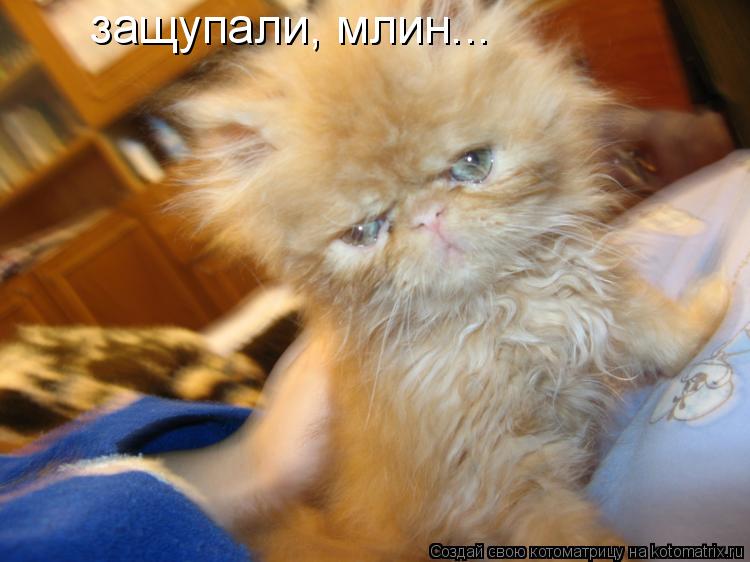 защупали, млин...... Котоматрица: защупали, млин...