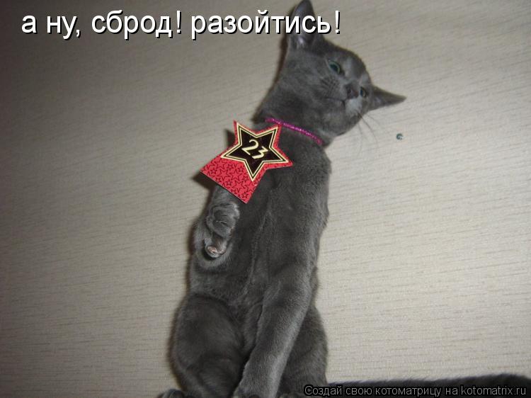 а ну, сброд! разойтись!... Котоматрица: а ну, сброд! разойтись!