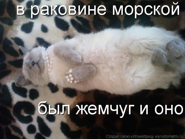 в раковине морской был жемчуг и оно был жемчуг и оно... Котоматрица: в раковине морской был жемчуг и оно был жемчуг и оно