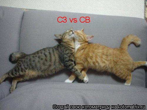 СЗ vs СВ... Котоматрица: СЗ vs СВ