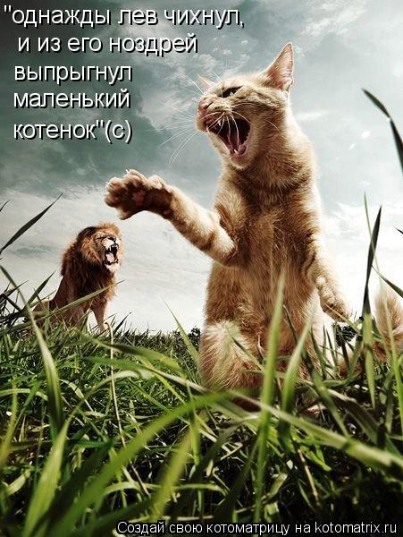 Котоматрица: "однажды лев чихнул,   и из его ноздрей  выпрыгнул  маленький котенок"(с)