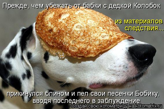 Прежде, чем убежать от бабки с дедкой Колобок прикинулся блином и пел свои песенки Бобику, вводя посл... Котоматрица: Прежде, чем убежать от бабки с дедкой Колобок прикинулся блином и пел свои песенки Бобику, вводя последнего в заблуждение следствия... из ма