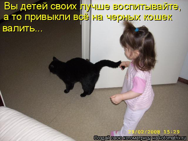 Вы детей своих лучше воспитывайте, а то привыкли всё на черных кошек валить...... Котоматрица: Вы детей своих лучше воспитывайте, а то привыкли всё на черных кошек валить...