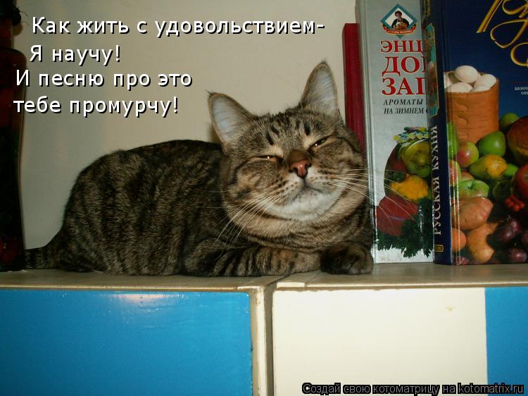 Как жить с удовольствием- Я научу! И песню про это тебе промурчу!... Котоматрица: Как жить с удовольствием- Я научу! И песню про это тебе промурчу!