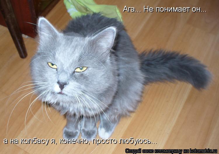 Ага... Не понимает он... а на колбасу я, конечно, просто любуюсь...... Котоматрица: Ага... Не понимает он... а на колбасу я, конечно, просто любуюсь...