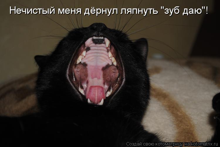 Нечистый меня дёрнул ляпнуть "зуб даю"!... Котоматрица: Нечистый меня дёрнул ляпнуть "зуб даю"!