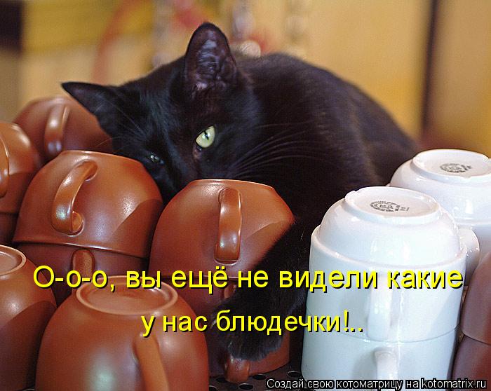 О-о-о, вы ещё не видели какие у нас блюдечки!..... Котоматрица: О-о-о, вы ещё не видели какие у нас блюдечки!..