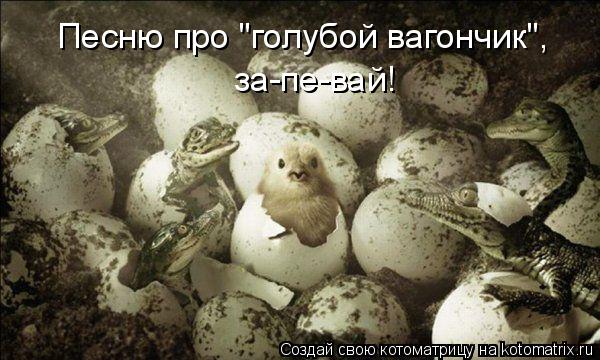 Котоматрица: Песню про "голубой вагончик",  за-пе-вай!