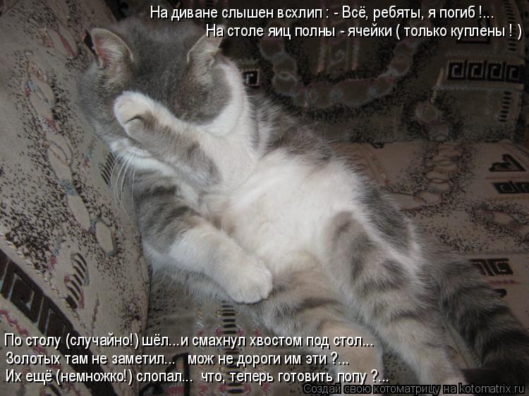 Котоматрица: На столе яиц полны - ячейки ( только куплены ! ) На диване слышен всхлип : - Всё, ребяты, я погиб !... По столу (случайно!) шёл...и смахнул хвостом по