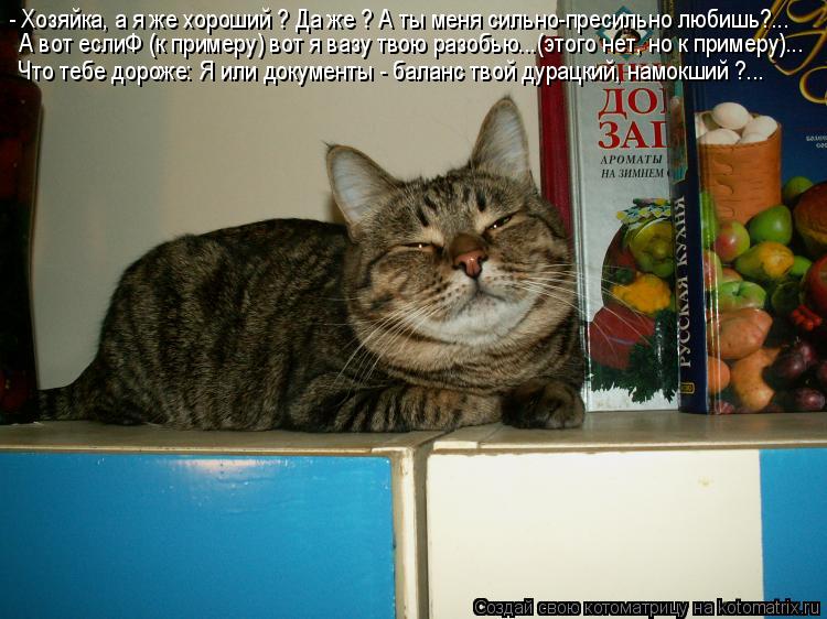 - Хозяйка, а я же хороший ? Да же ? А ты меня сильно-пресильно любишь?... А вот еслиФ (к примеру) вот... Котоматрица: - Хозяйка, а я же хороший ? Да же ? А ты меня сильно-пресильно любишь?... А вот еслиФ (к примеру) вот я вазу твою разобью...(этого нет, но к примеру).