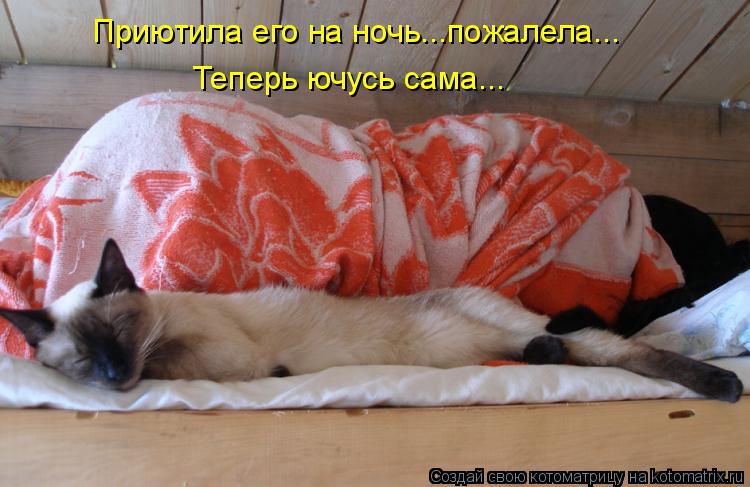 Приютила его на ночь...пожалела... Теперь ючусь сама...... Котоматрица: Приютила его на ночь...пожалела... Теперь ючусь сама...