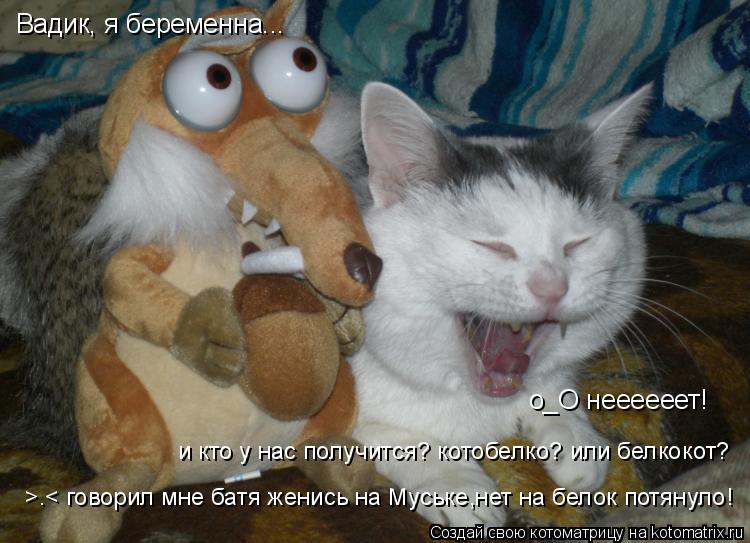 Вадик, я беременна... о_О неееееет! и кто у нас получится? котобелко? или белкокот? >.< говорил мне б... Котоматрица: Вадик, я беременна... о_О неееееет! и кто у нас получится? котобелко? или белкокот? >.< говорил мне батя женись на Муське,нет на белок потянуло!