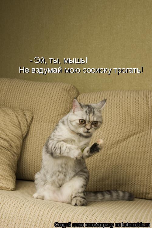 - Эй, ты, мышь! Не вздумай мою сосиску трогать!... Котоматрица: - Эй, ты, мышь! Не вздумай мою сосиску трогать!