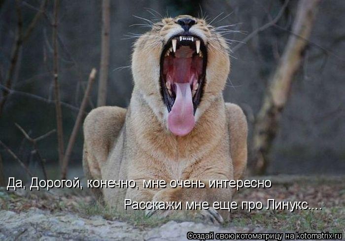 Да, Дорогой, конечно, мне очень интересно Расскажи мне еще про Линукс....... Котоматрица: Да, Дорогой, конечно, мне очень интересно Расскажи мне еще про Линукс....