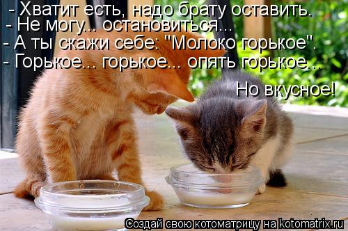- Хватит есть, надо брату оставить. - Не могу... остановиться... - А ты скажи себе: "Молоко горькое".... Котоматрица: - Хватит есть, надо брату оставить. - Не могу... остановиться... - А ты скажи себе: "Молоко горькое". - Горькое... горькое... опять горькое... Но вку