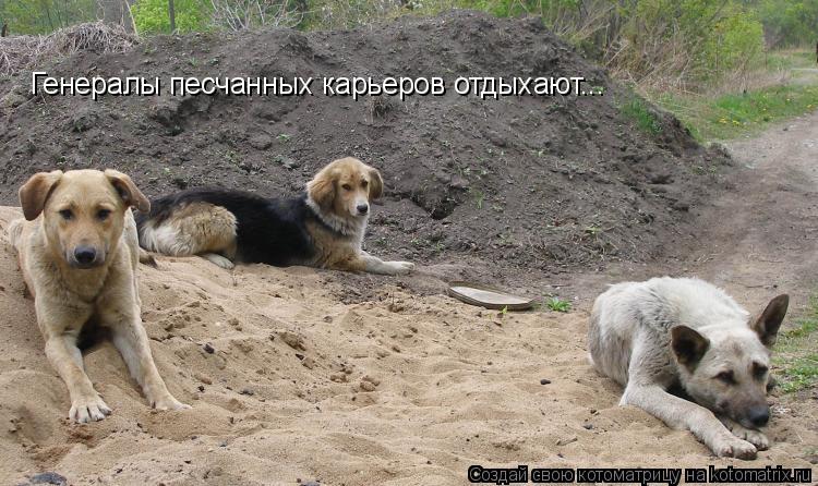 Генералы песчанных карьеров отдыхают...... Котоматрица: Генералы песчанных карьеров отдыхают...