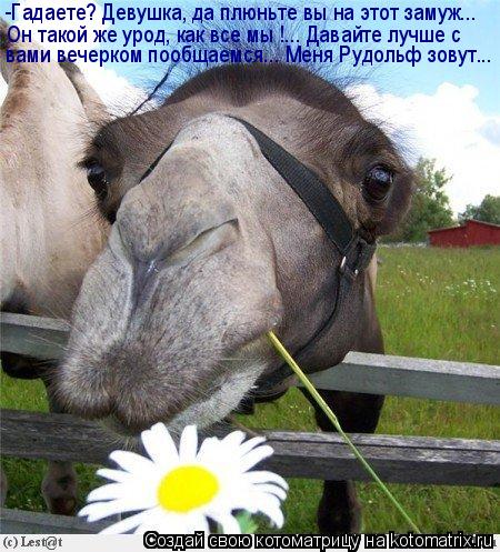 -Гадаете? Девушка, да плюньте вы на этот замуж... вами вечерком пообщаемся... Меня Рудольф зовут... О... Котоматрица: -Гадаете? Девушка, да плюньте вы на этот замуж... вами вечерком пообщаемся... Меня Рудольф зовут... Он такой же урод, как все мы !... Давайте лучше