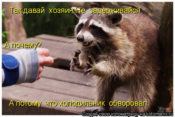 Так давай хозяин.Не задерживайся А почему? А потому что холодильник обворовал... Котоматрица: Так давай хозяин.Не задерживайся А почему? А потому что холодильник обворовал
