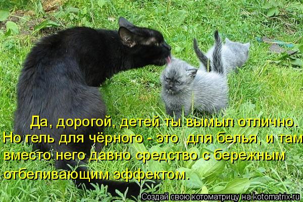 Да, дорогой, детей ты вымыл отлично. Но гель для чёрного - это для белья, и там вместо него давно с... Котоматрица: Да, дорогой, детей ты вымыл отлично. Но гель для чёрного - это для белья, и там вместо него давно средство с бережным отбеливающим эффектом.