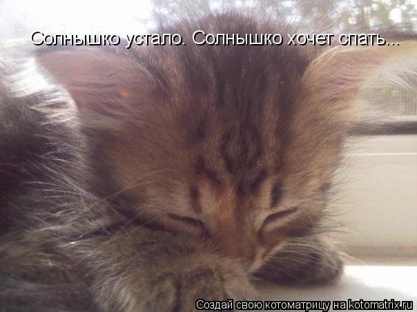 Солнышко устало. Солнышко хочет спать...... Котоматрица: Солнышко устало. Солнышко хочет спать...