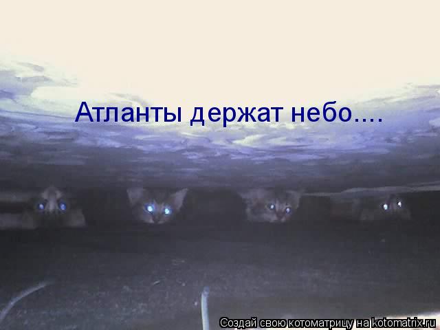 Атланты держат небо....... Котоматрица: Атланты держат небо....