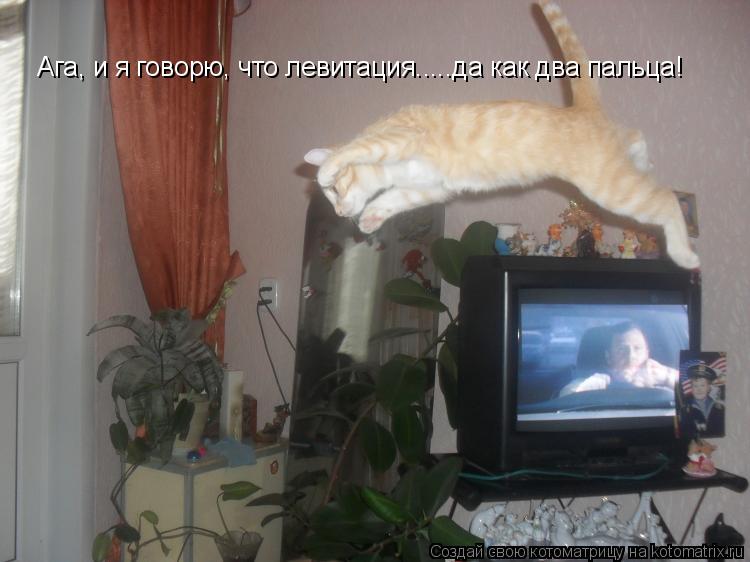 Ага, и я говорю, что левитация.....да как два пальца!... Котоматрица: Ага, и я говорю, что левитация.....да как два пальца!