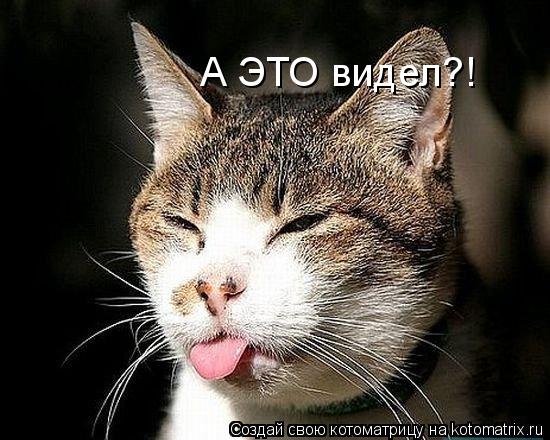 А ЭТО видел?!... Котоматрица: А ЭТО видел?!