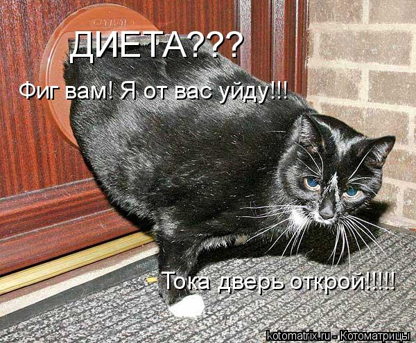 ДИЕТА??? Фиг вам! Я от вас уйду!!! Тока дверь открой!!!!!... Котоматрица: ДИЕТА??? Фиг вам! Я от вас уйду!!! Тока дверь открой!!!!!