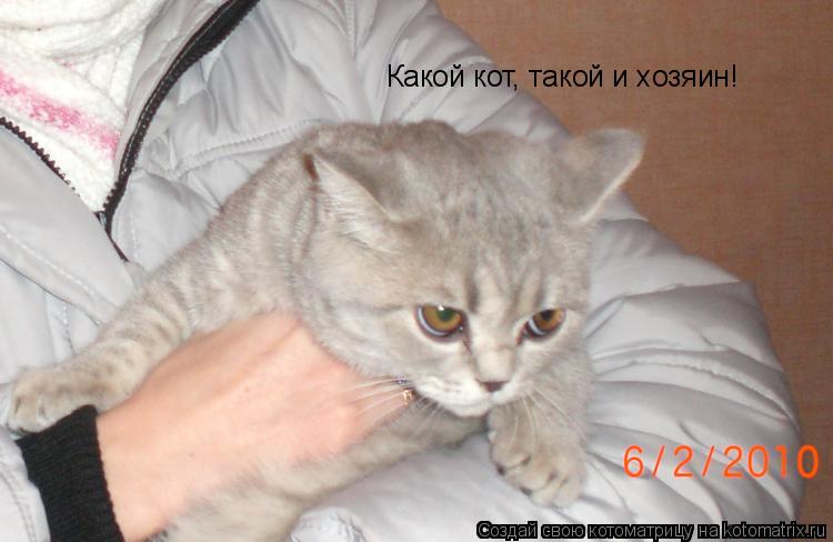 Какой кот, такой и хозяин!... Котоматрица: Какой кот, такой и хозяин!