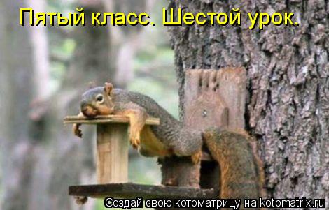 Пятый класс. Шестой урок.... Котоматрица: Пятый класс. Шестой урок.