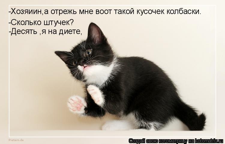 -Хозяиин,а отрежь мне воот такой кусочек колбаски. -Сколько штучек? -Десять ,я на диете,... Котоматрица: -Хозяиин,а отрежь мне воот такой кусочек колбаски. -Сколько штучек? -Десять ,я на диете,