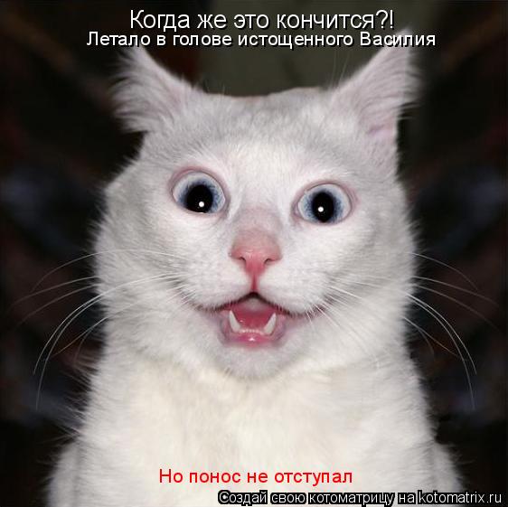 Когда же это кончится?! Летало в голове истощенного Василия Но понос не отступал... Котоматрица: Когда же это кончится?! Летало в голове истощенного Василия Но понос не отступал