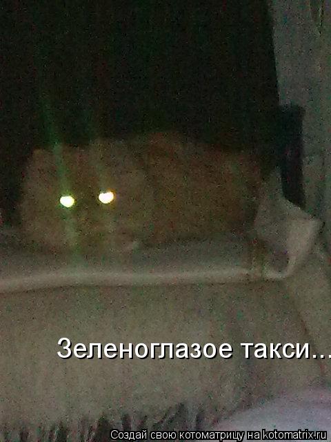 Зеленоглазое такси...... Котоматрица: Зеленоглазое такси...