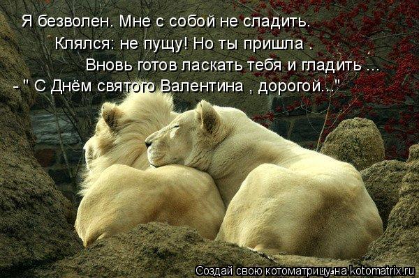 Я безволен. Мне с собой не сладить. Клялся: не пущу! Но ты пришла – Вновь готов ласкать тебя и гладит... Котоматрица: Я безволен. Мне с собой не сладить. Клялся: не пущу! Но ты пришла – Вновь готов ласкать тебя и гладить ... - " С Днём святого Валентина , дорогой..